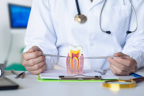 , KY Emergency Dental Service Company